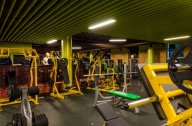 WEGYM Синица