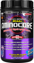 Amino Core (1000 гр)