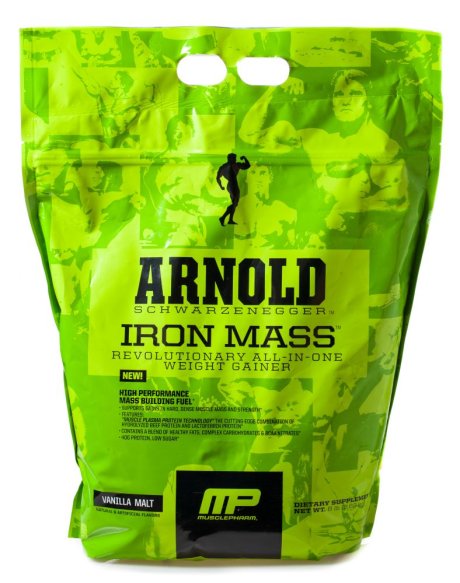 Iron Mass Arnold (3620 гр)