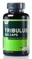 Tribulus 625 (100 капс)