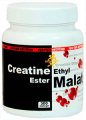 Creatine Ethyl Ester Malate (300 капс)