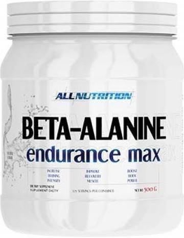 Beta-Alanine Endurance Max (500 гр)