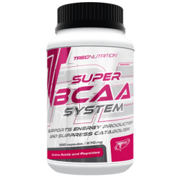 Super BCAA System (300 капс)