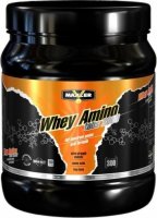 Whey Amino Tabs 2000 (300 таб)