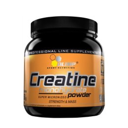 Creatine Monohydrate Powder (550 гр)