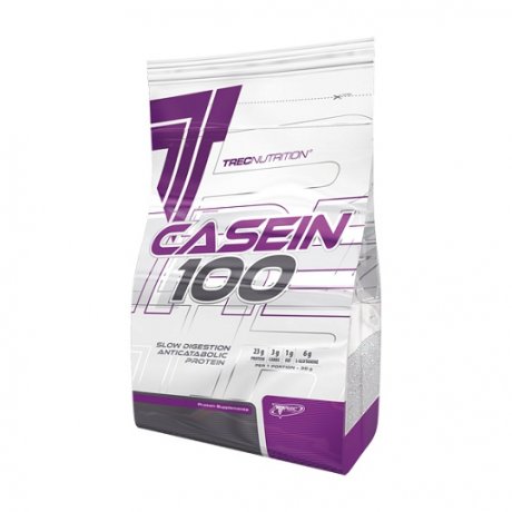 Casein 100 (600 гр)