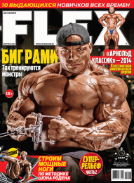 Журнал FLEX №18